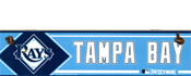 Tampa Bay Devil Rays Top